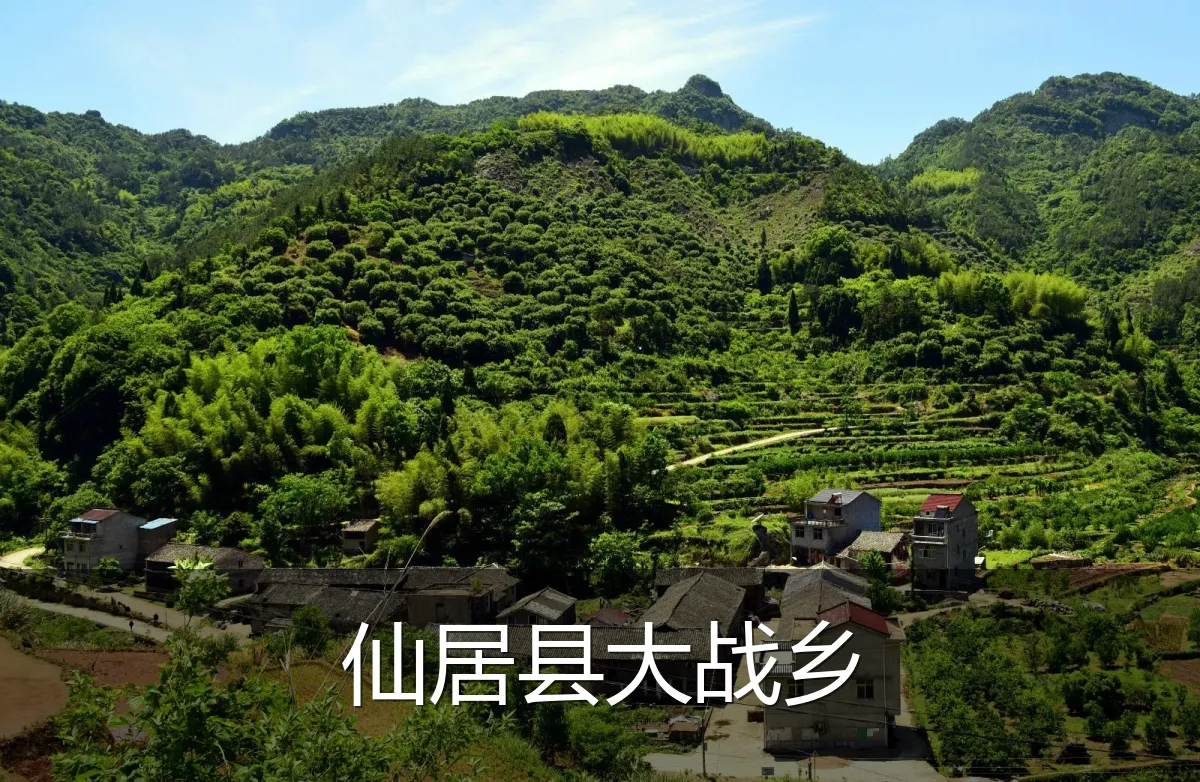 仙居县大战乡